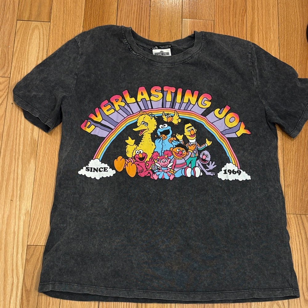 Rare Zara Everlasting Joy Sesame Street Graphic Tee - Charcoal Large